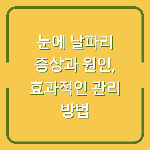 눈에 날파리 증상과 원인, 효과적인 관리 방법