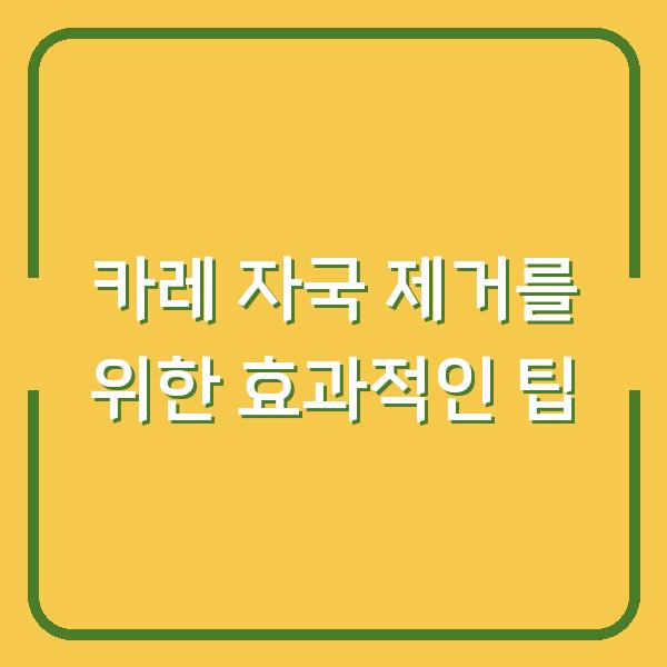 카레 자국 제거를 위한 효과적인 팁