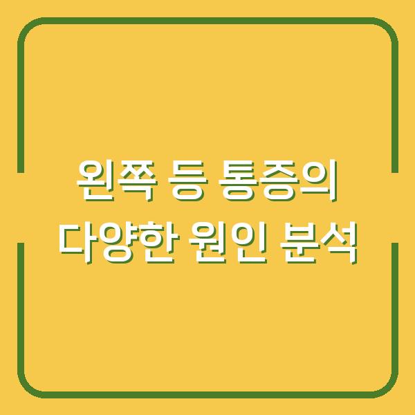왼쪽 등 통증의 다양한 원인 분석