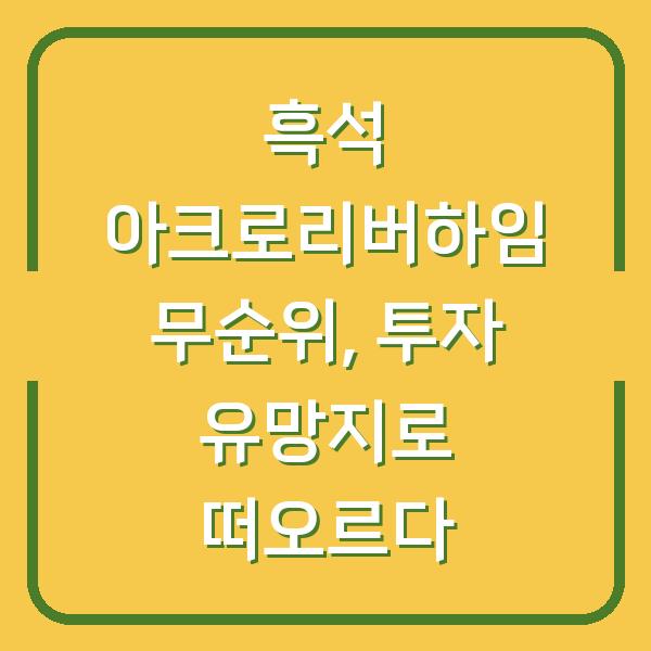 흑석 아크로리버하임 무순위, 투자 유망지로 떠오르다