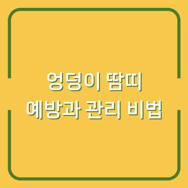 엉덩이 땀띠 예방과 관리 비법