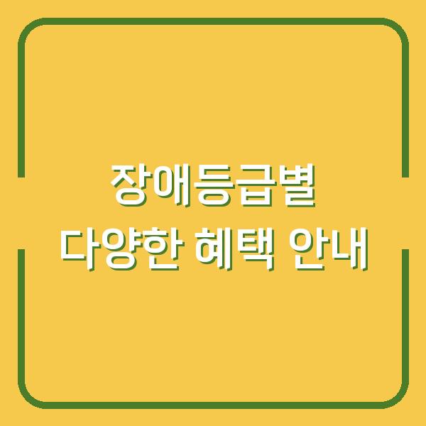 장애등급별 다양한 혜택 안내