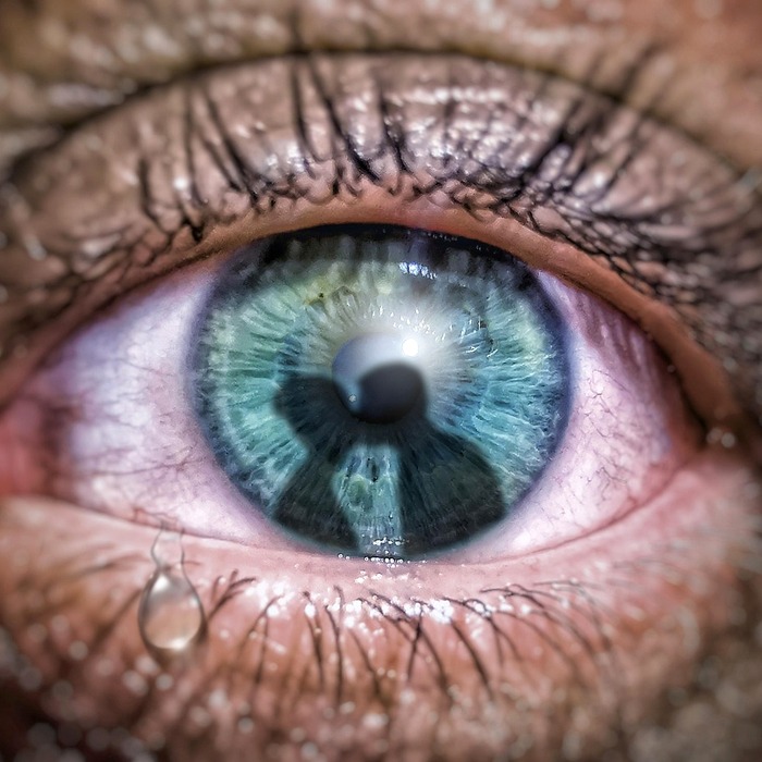 통증 완화 증상