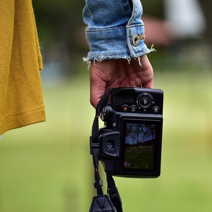 성호육묘장 전경