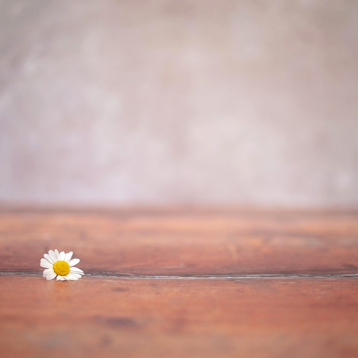 저작권 침해 통계