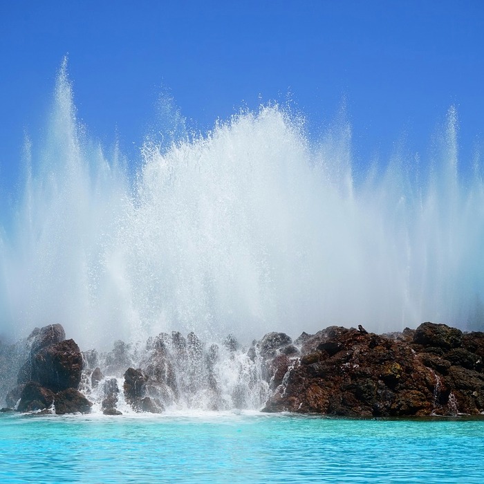 에이블리셀러스 특징