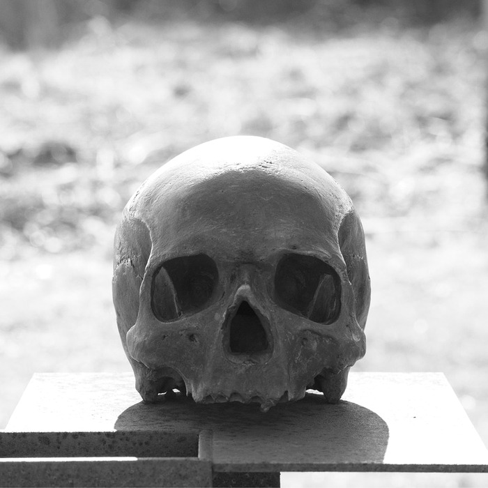 설암 해부학 구조