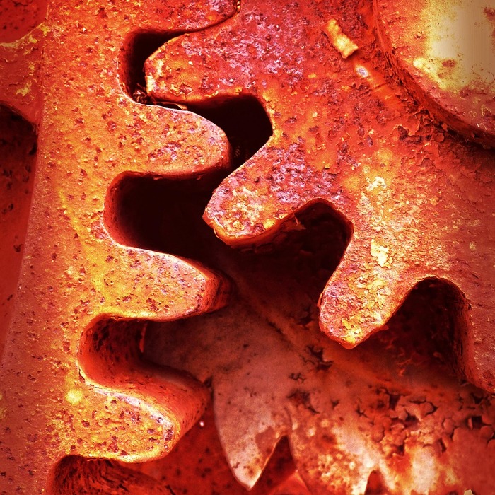 항균 효과 메커니즘