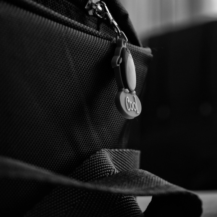 체인 스트랩 가방