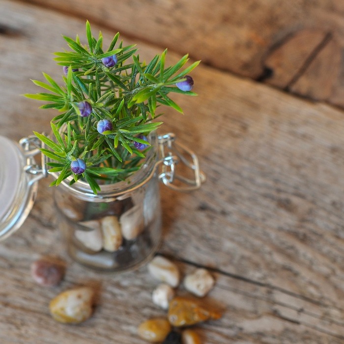 향과 맛의 조화