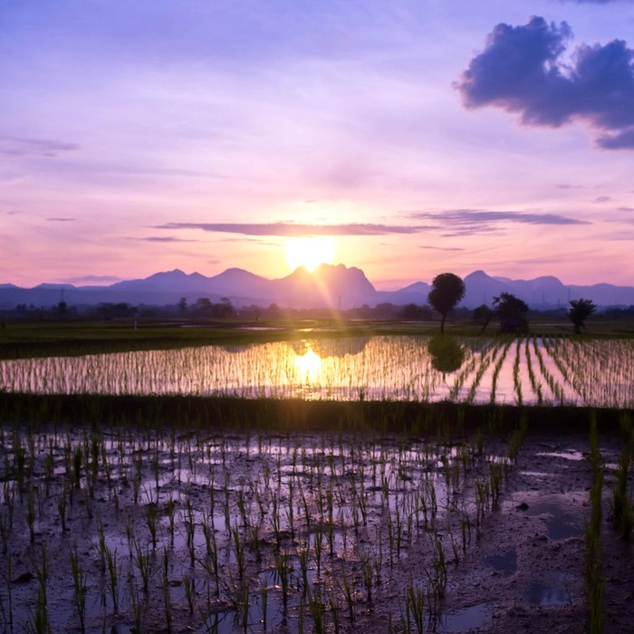 가입 시기 중요성