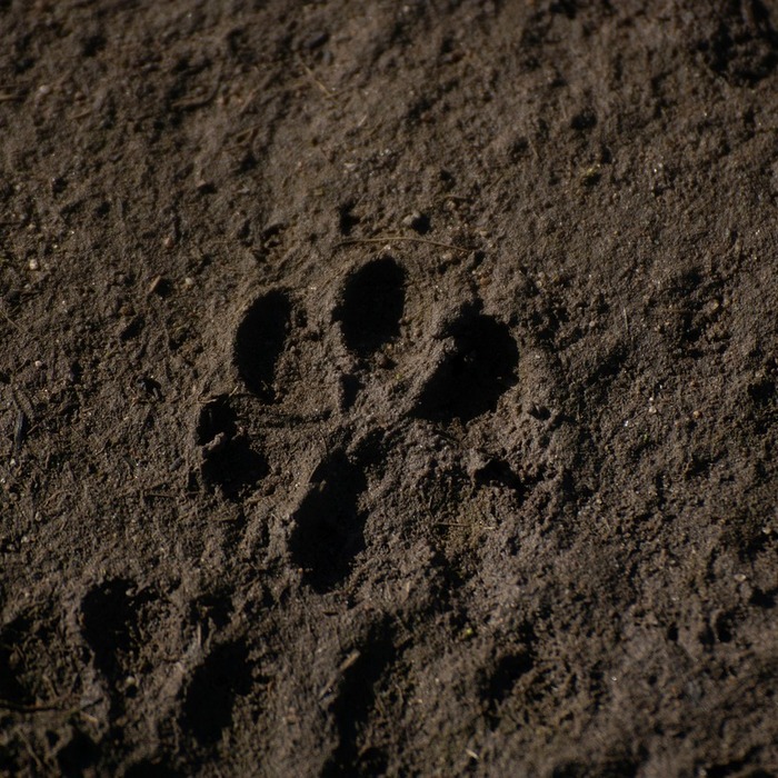 동사무소프린트