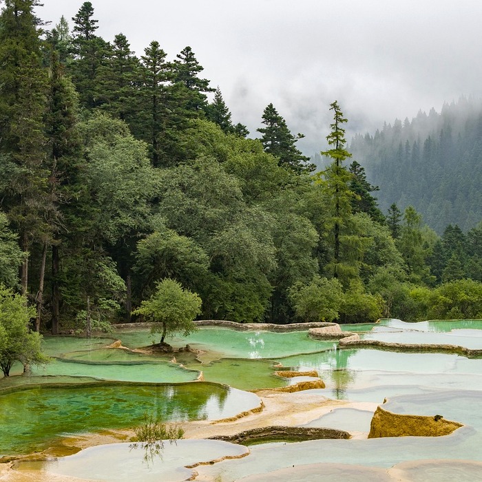전립선석회화 원인