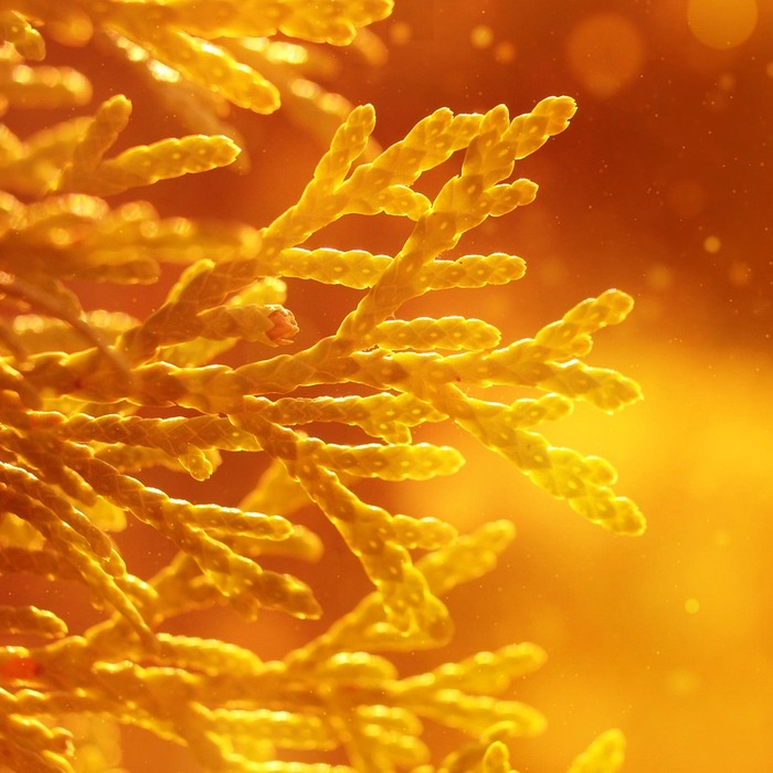 투자 성향 맞춤