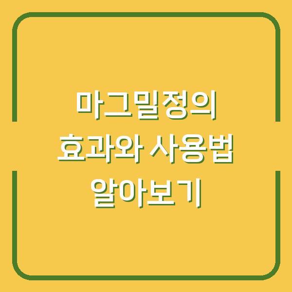 마그밀정의 효과와 사용법 알아보기