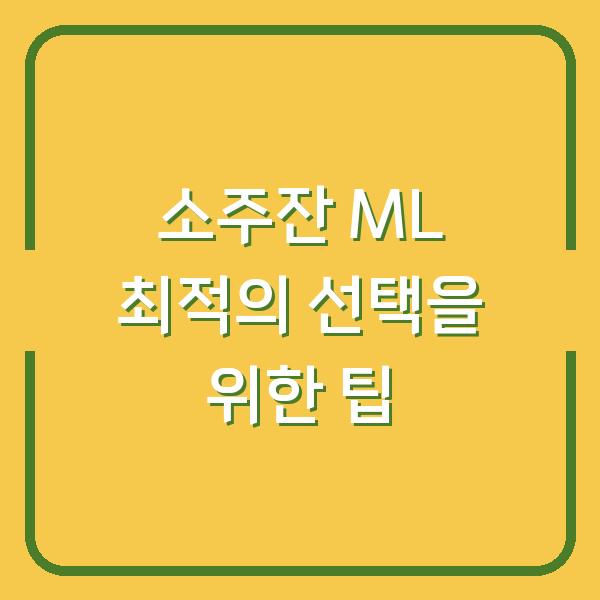 소주잔 ML 최적의 선택을 위한 팁