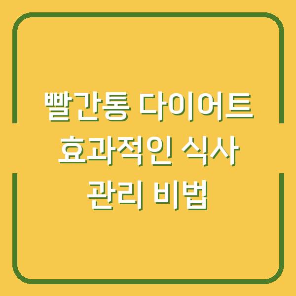 빨간통 다이어트 효과적인 식사 관리 비법