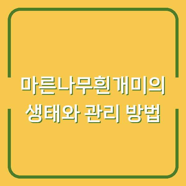마른나무흰개미의 생태와 관리 방법
