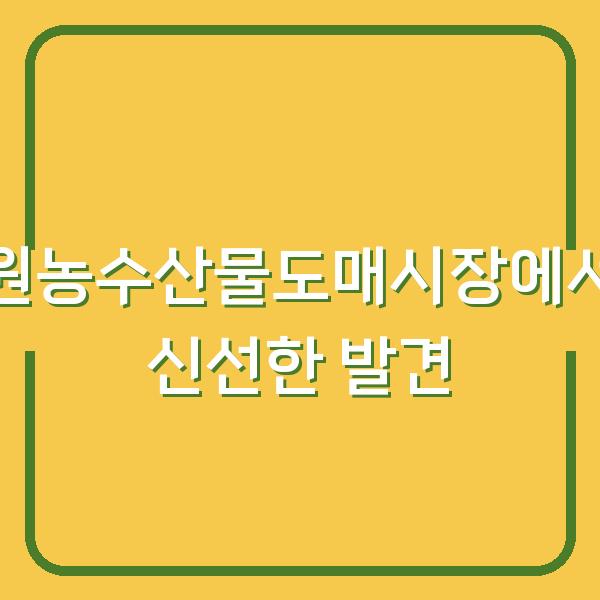 수원농수산물도매시장에서의 신선한 발견