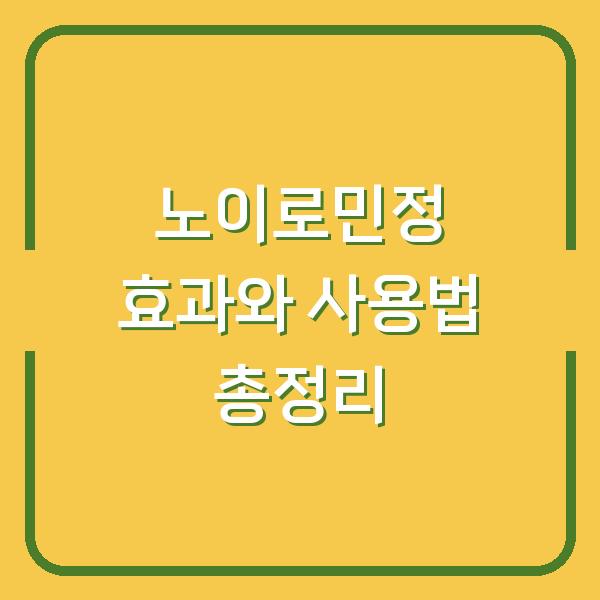 노이로민정 효과와 사용법 총정리