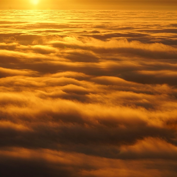 안개등 종류 비교
