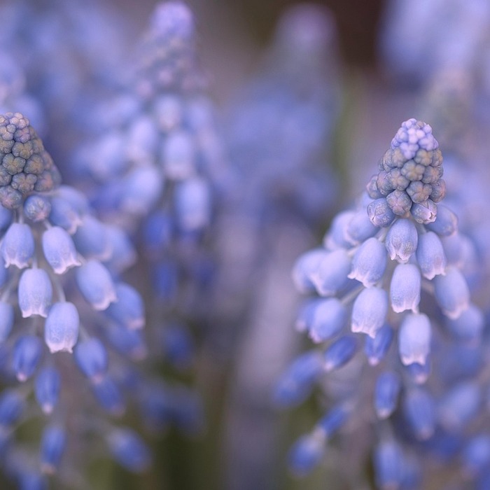 아반떼 초기 모델