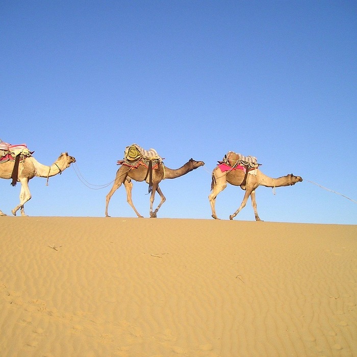 재난지원금 대상