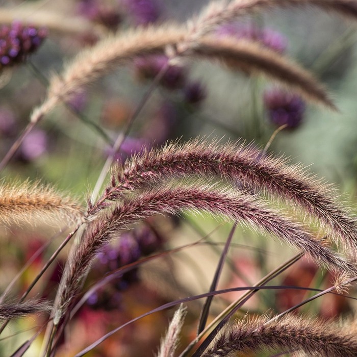 신청 방법 안내