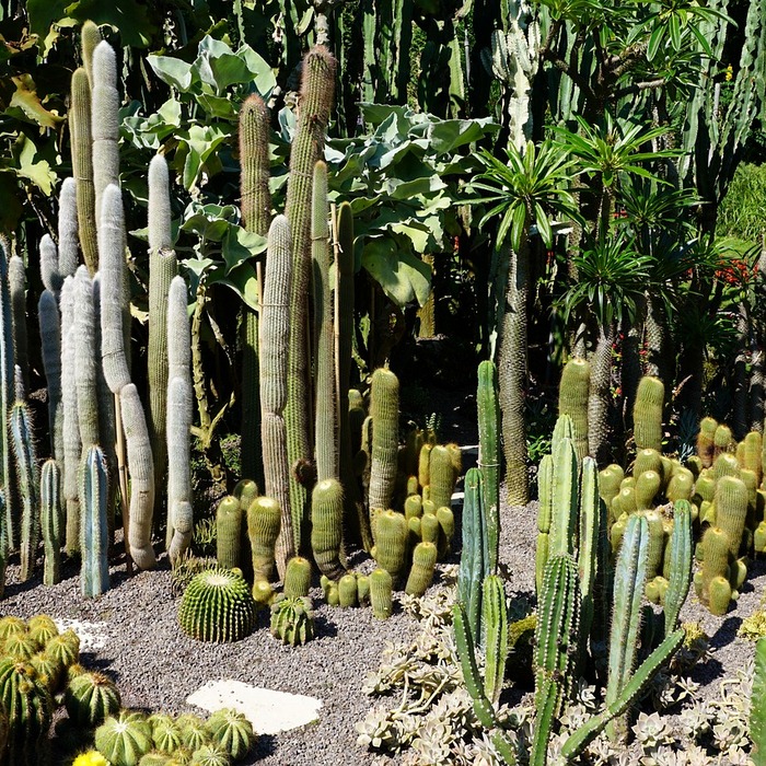 소상공인 지원금