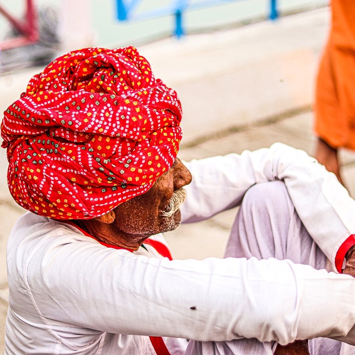 문화 예술인 지원금