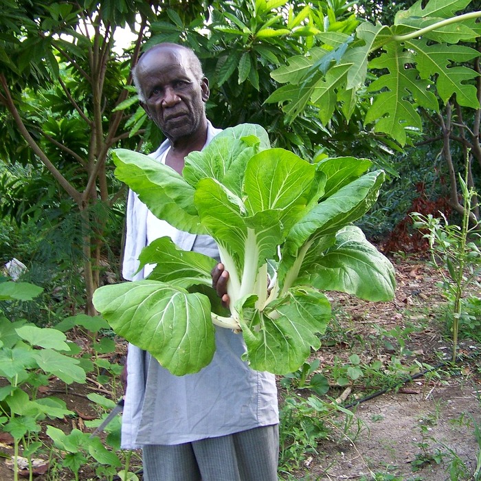 노령연금 수급자격