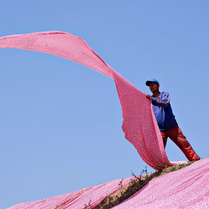전세대출 금리 구조