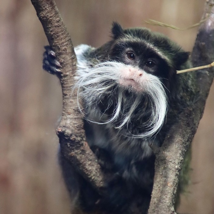 신세계 유니버스 클럽