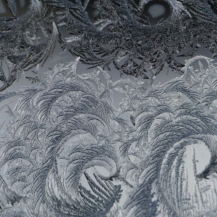 5차 재난지원금 개요