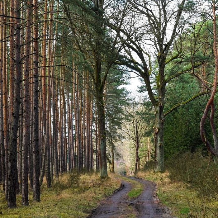 오프라인 신청 방법
