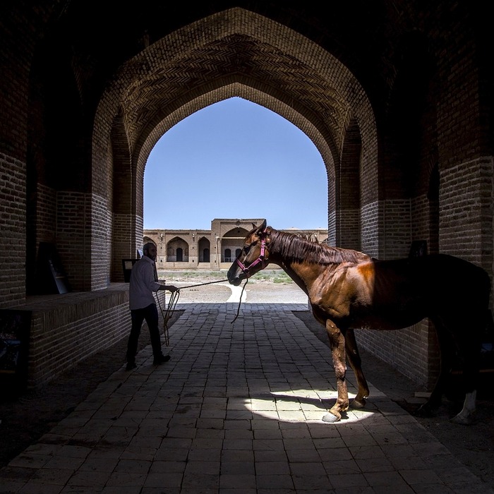 지원금 지급 대상