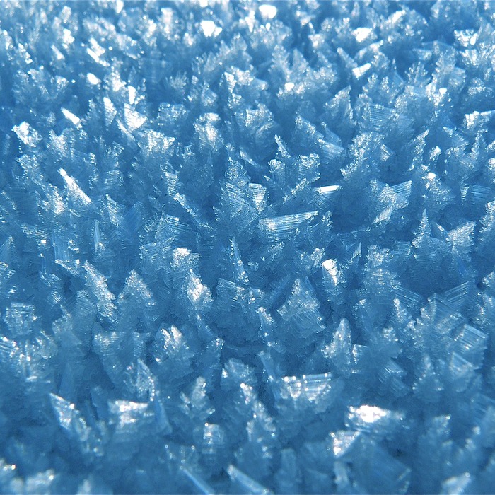 최저임금 결정 과정