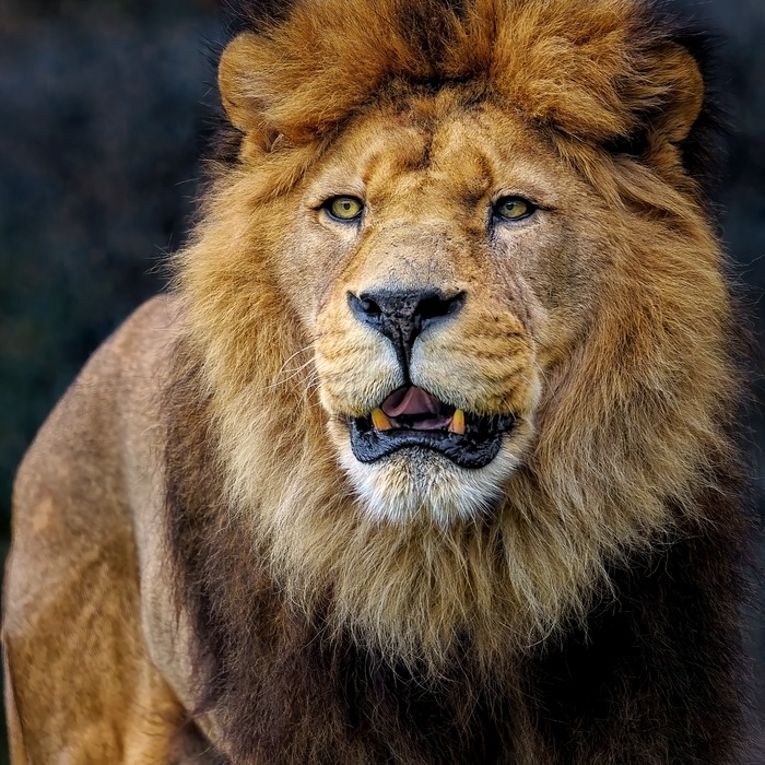 중도퇴사자 연말정산