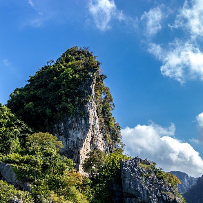 홈택스 전자신고