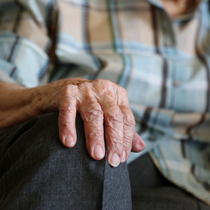 면허증 수령 준비물