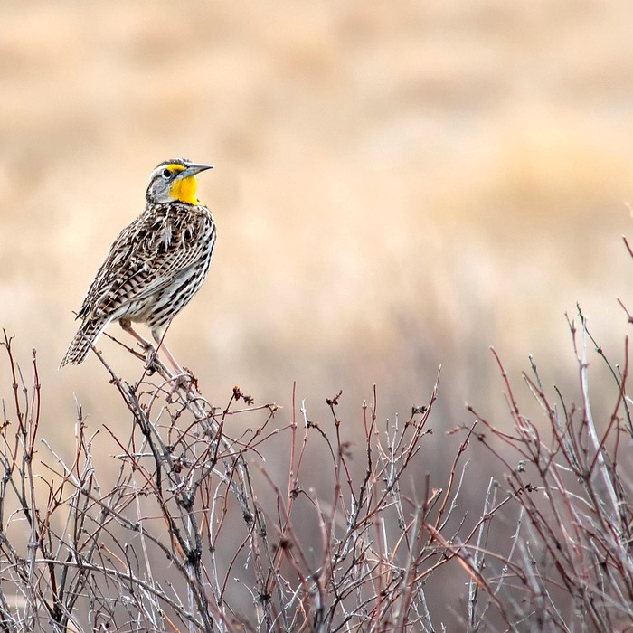 서부 운전면허 응장소