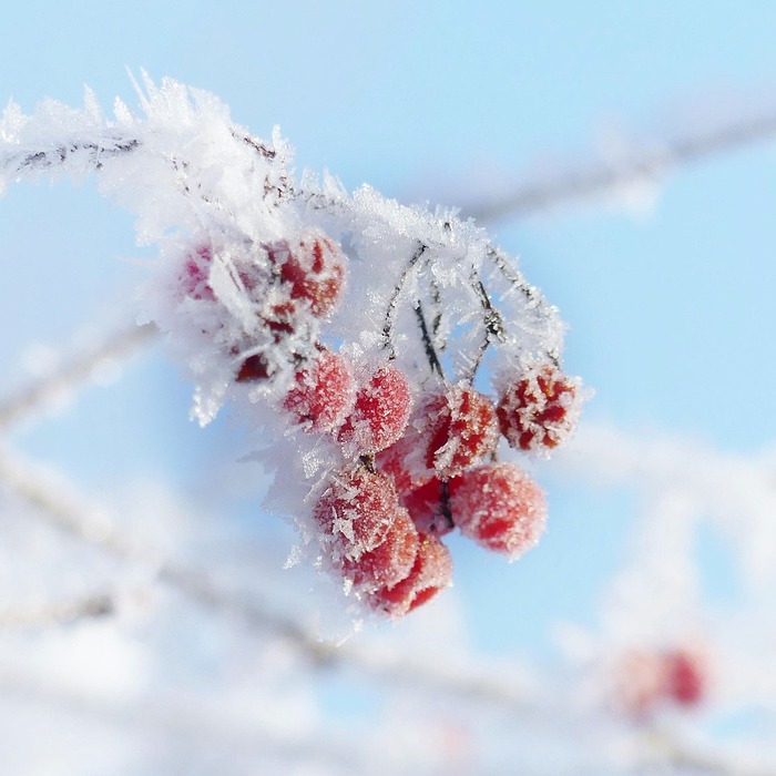 추석 인사말 카드