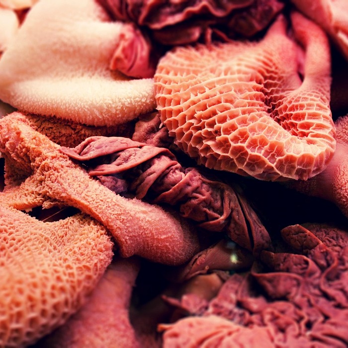 삼겹살 냉동 보관