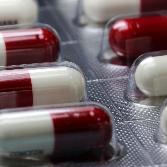 헬스케어 실적 발표