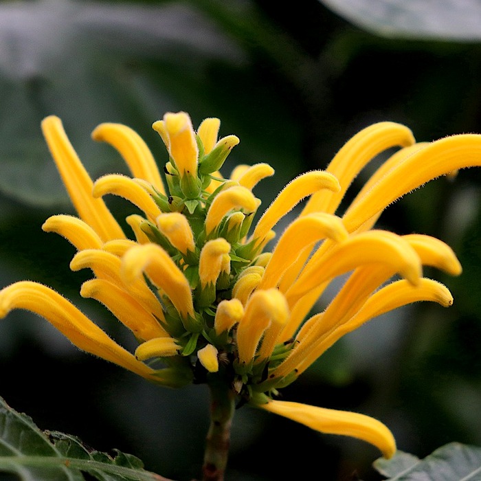 법무부 광주소년원