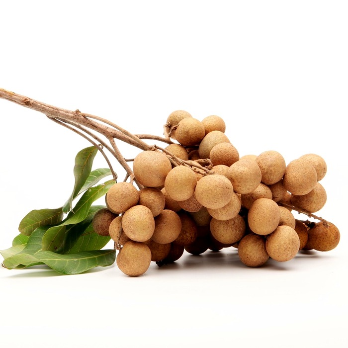 긴급고용안정지원금