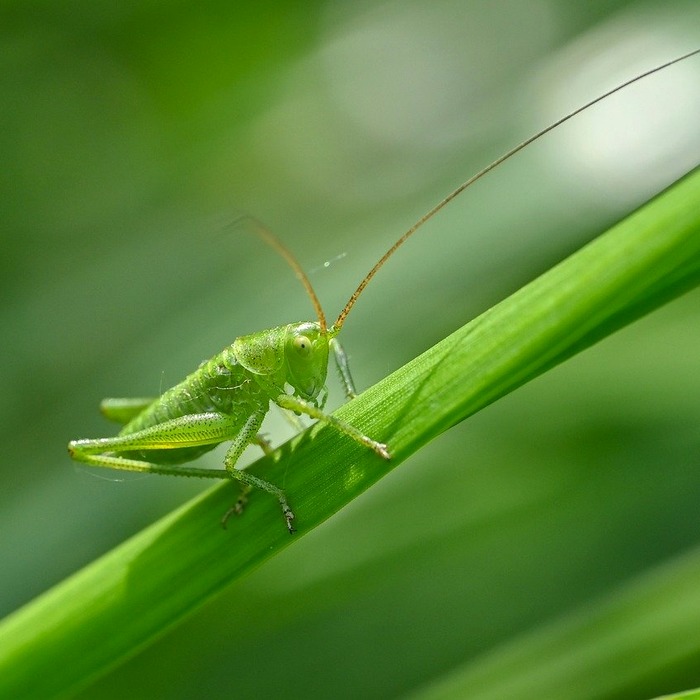 삼성생명법 개정안