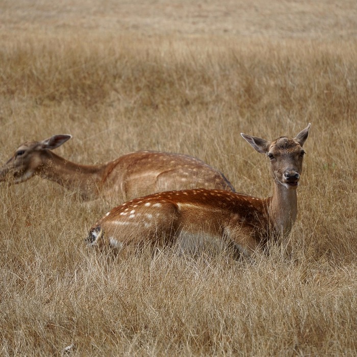 노루홀딩스우 실적