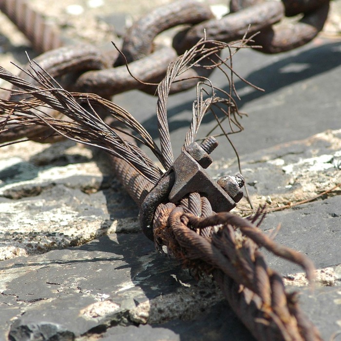 농업 정책 수립