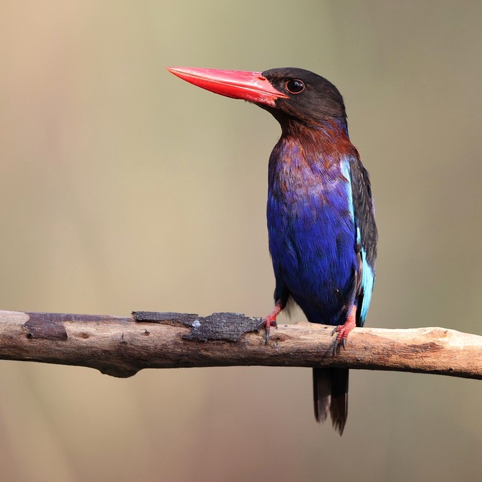 통관고유부호 설명